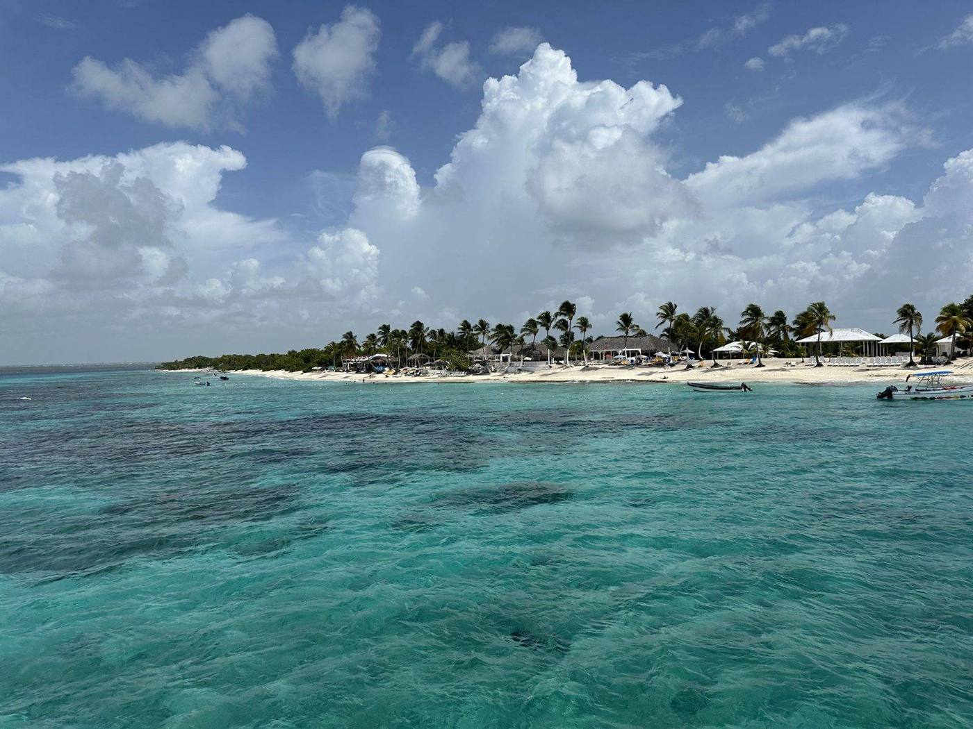 Clear turquoise water over a reef in front of a palm-lined island beach