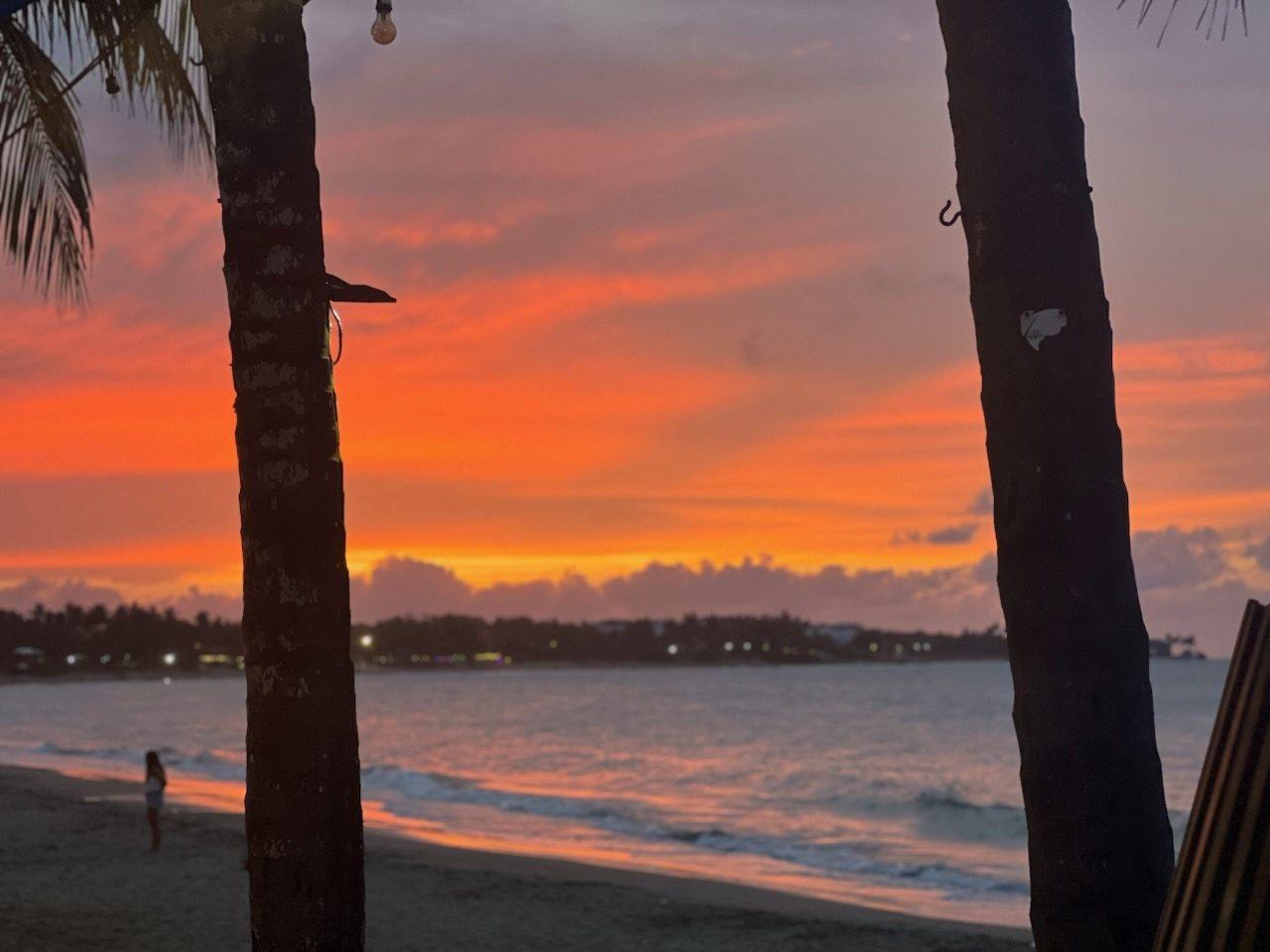 A vivid orange sunset over the beach framed by two palm trunks in Cabarete