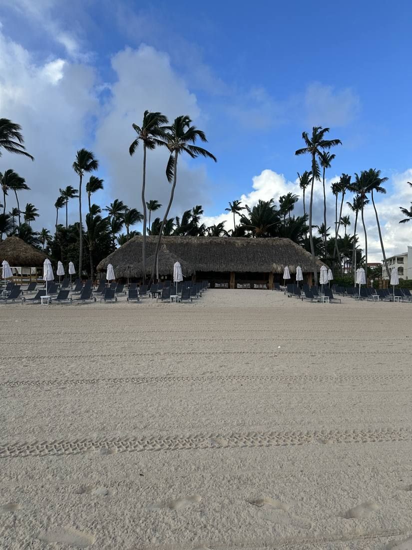 Thatched beach bar on white sand under palm trees