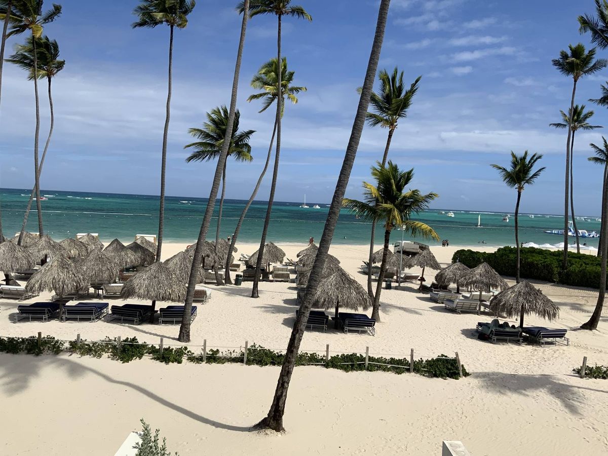 Palm trees and beach umbrellas along white sand