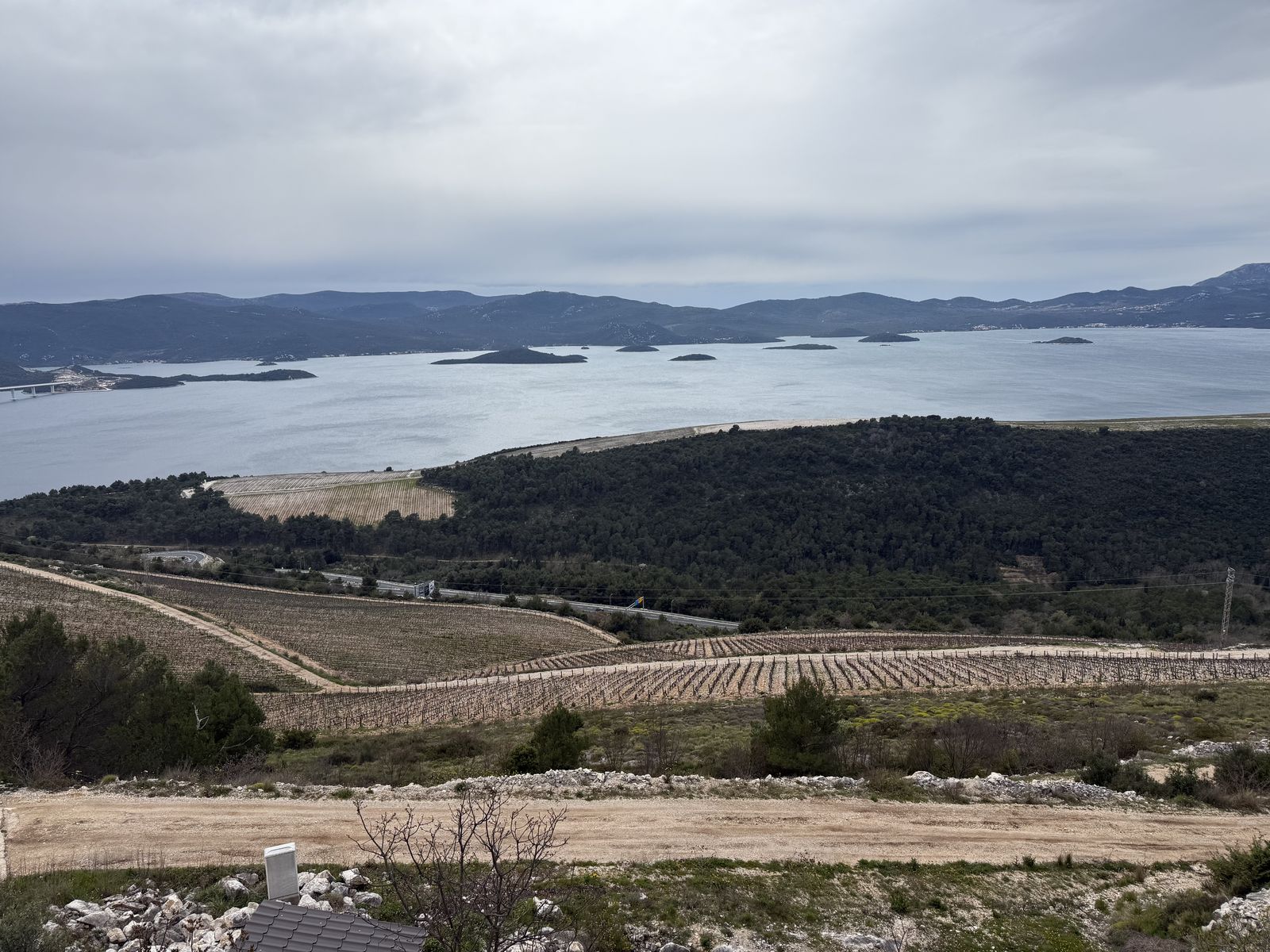 Rows of vines at Rizman Winery in Komarna, sloping down toward the Adriatic and a chain of small islands